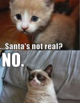 grumpy cat